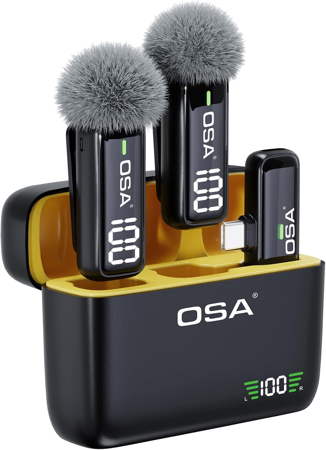 Osa Microfono Wireless con Custodia Ricarica (Tipo C) - immagine 1