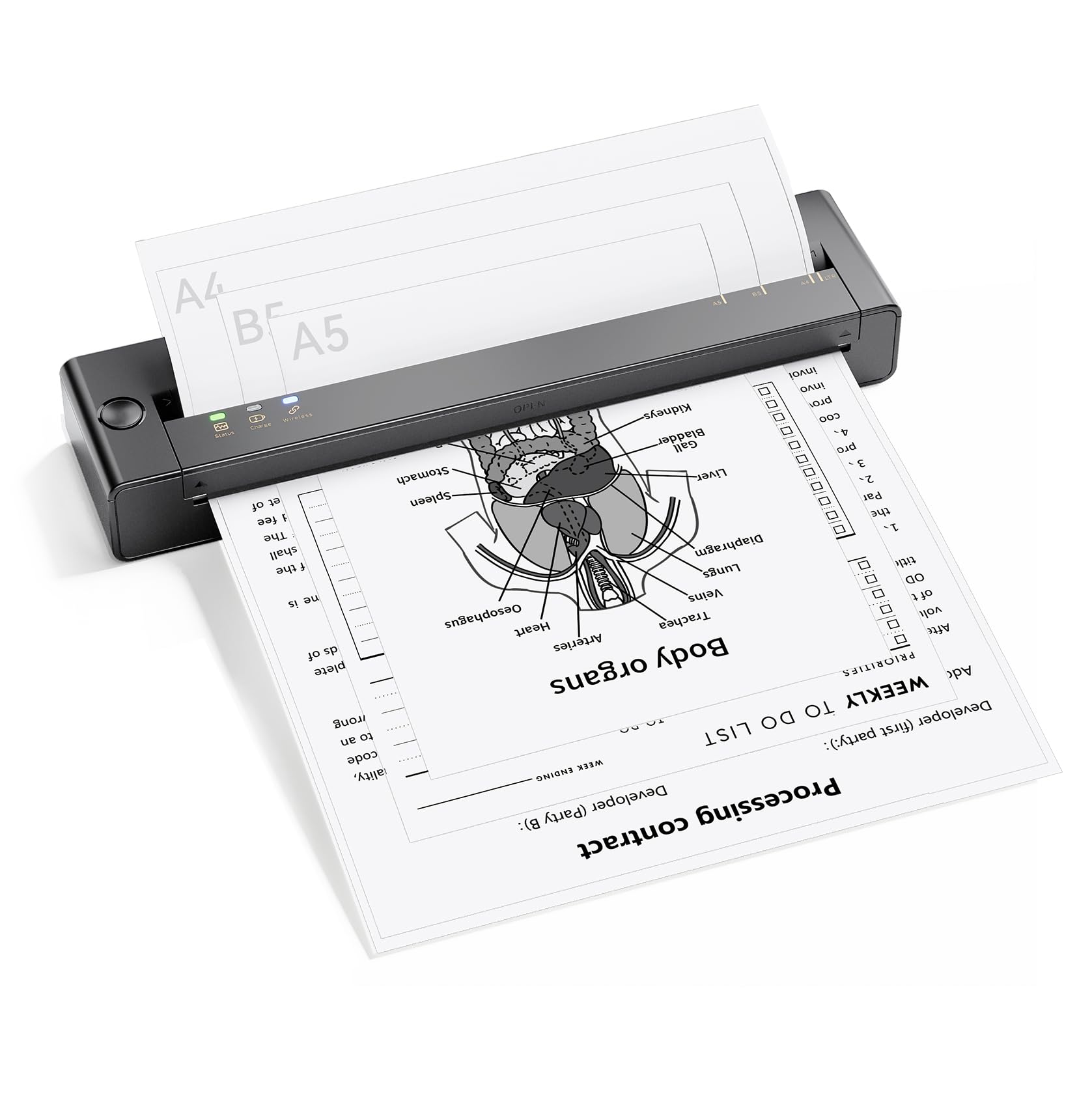 Tattmuse Stampante Portatile Wireless Termica 2025