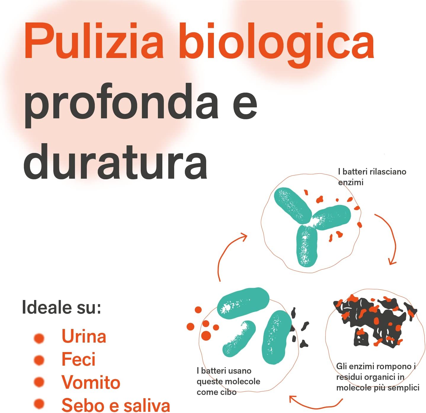 BactPro BactPets - Elimina Odori e Macchie Cani e Gatti 700ml - immagine 4