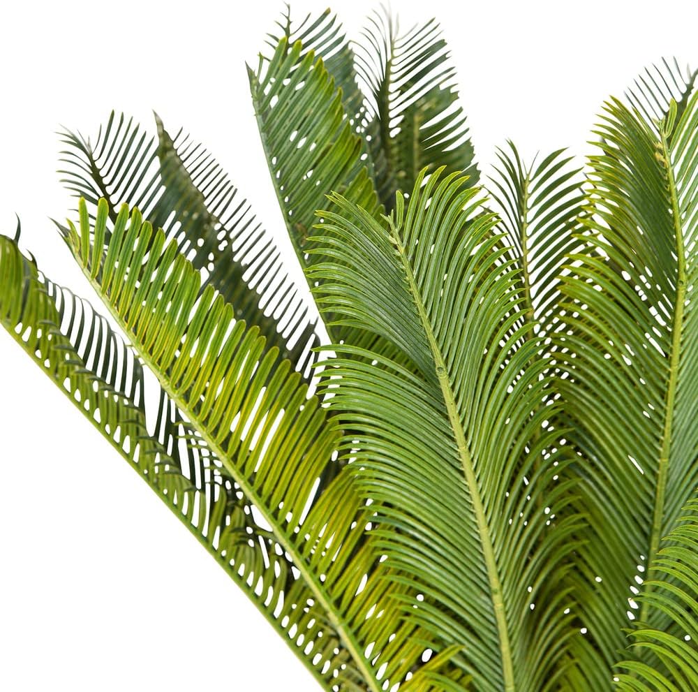 Hjh Office Pianta Artificiale Cycas Palm 70 cm, Verde - immagine 4