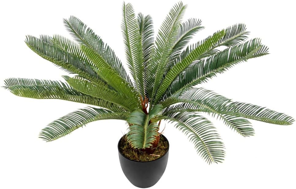 Hjh Office Pianta Artificiale Cycas Palm 70 cm, Verde - immagine 7