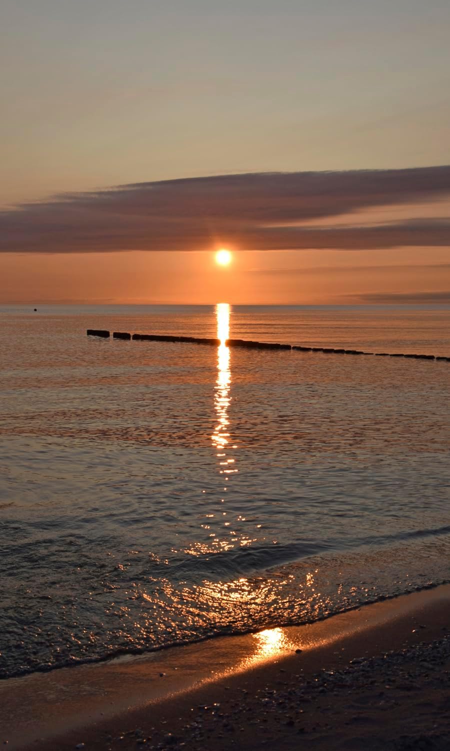 Rasch Carta da Parati Fotografica Magicwalls Mare