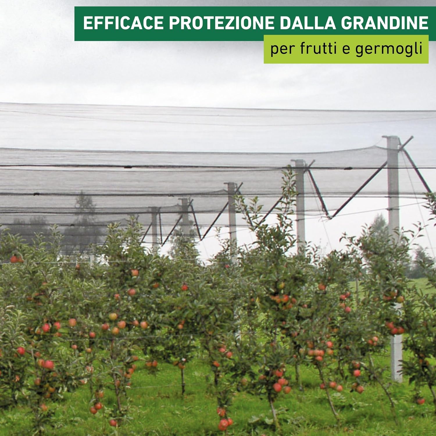 Windhager Rete Antigrandine 5x4m, Maglia 8mm Verde - immagine 2