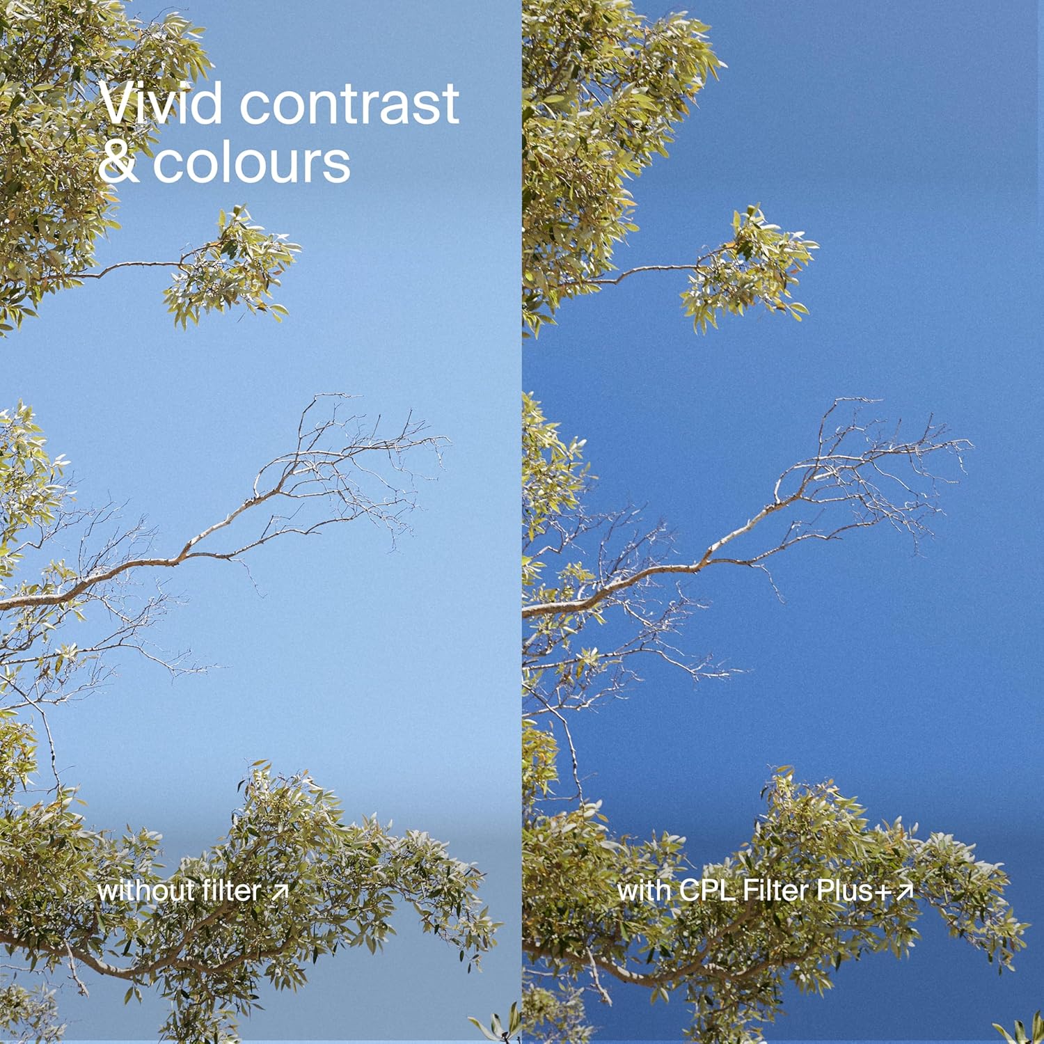 Urth Circular Polarizing (CPL) Lens Filter (Plus+) (58mm, Avvitare nel) - immagine 6