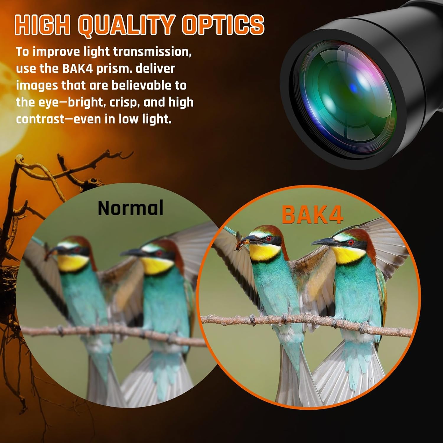 Binocolo 20x50 per Adulti con Visione Notturna - immagine 2