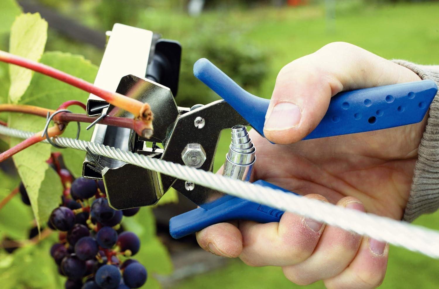 Rapid 40107753 Pinza per Vigneto, Blu - immagine 3