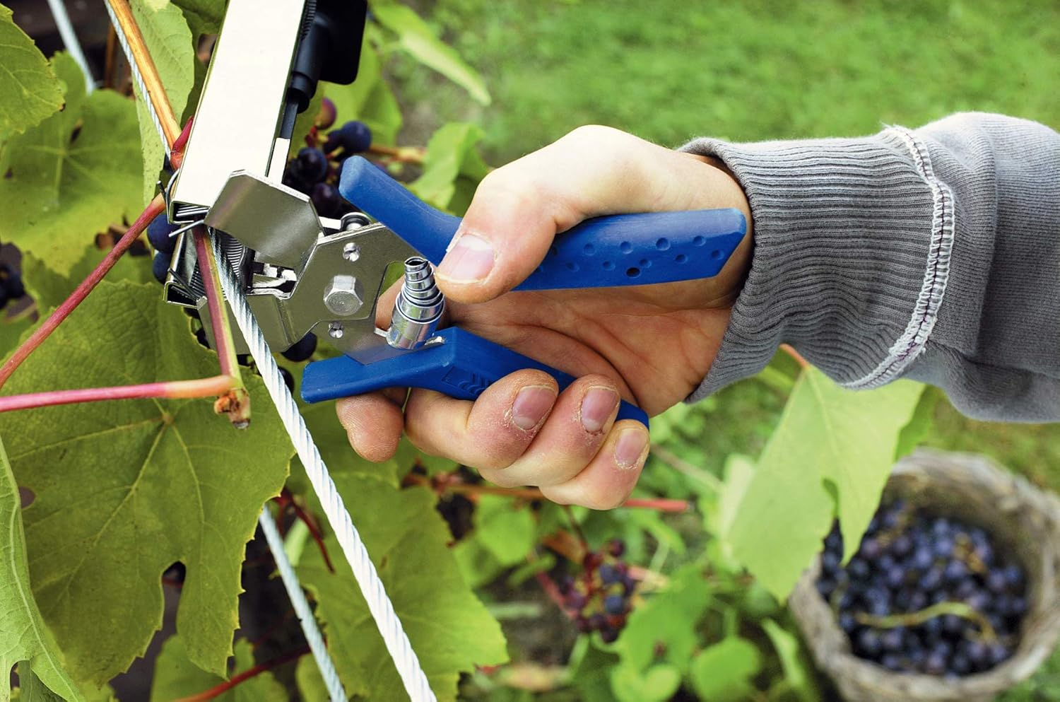 Rapid 40107753 Pinza per Vigneto, Blu - immagine 4