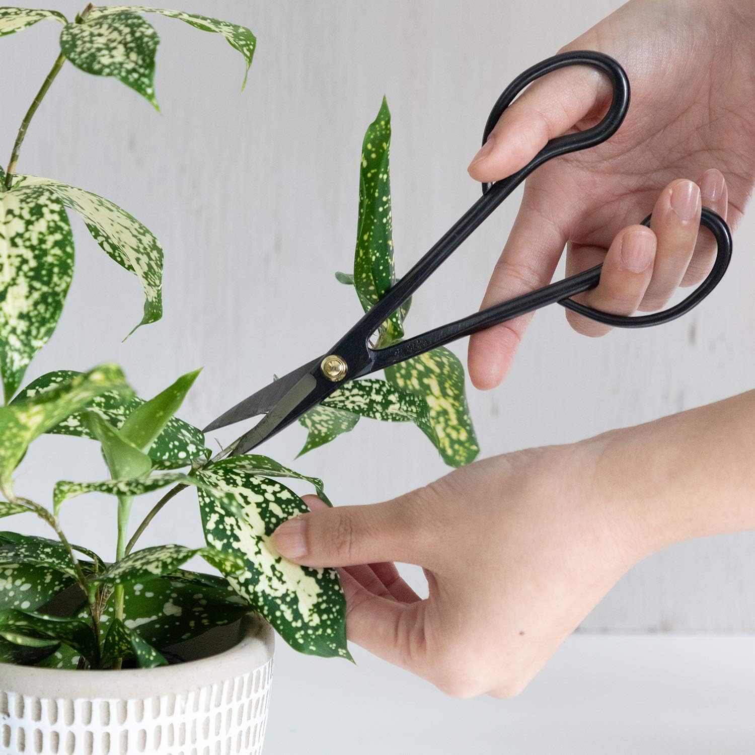 Wazakura 3PCS Set Attrezzi per Bonsai - Satsuki - immagine 4