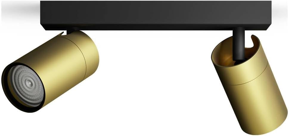 Philips Idris Spot a 2 Teste, Ottone IP44 - immagine 3