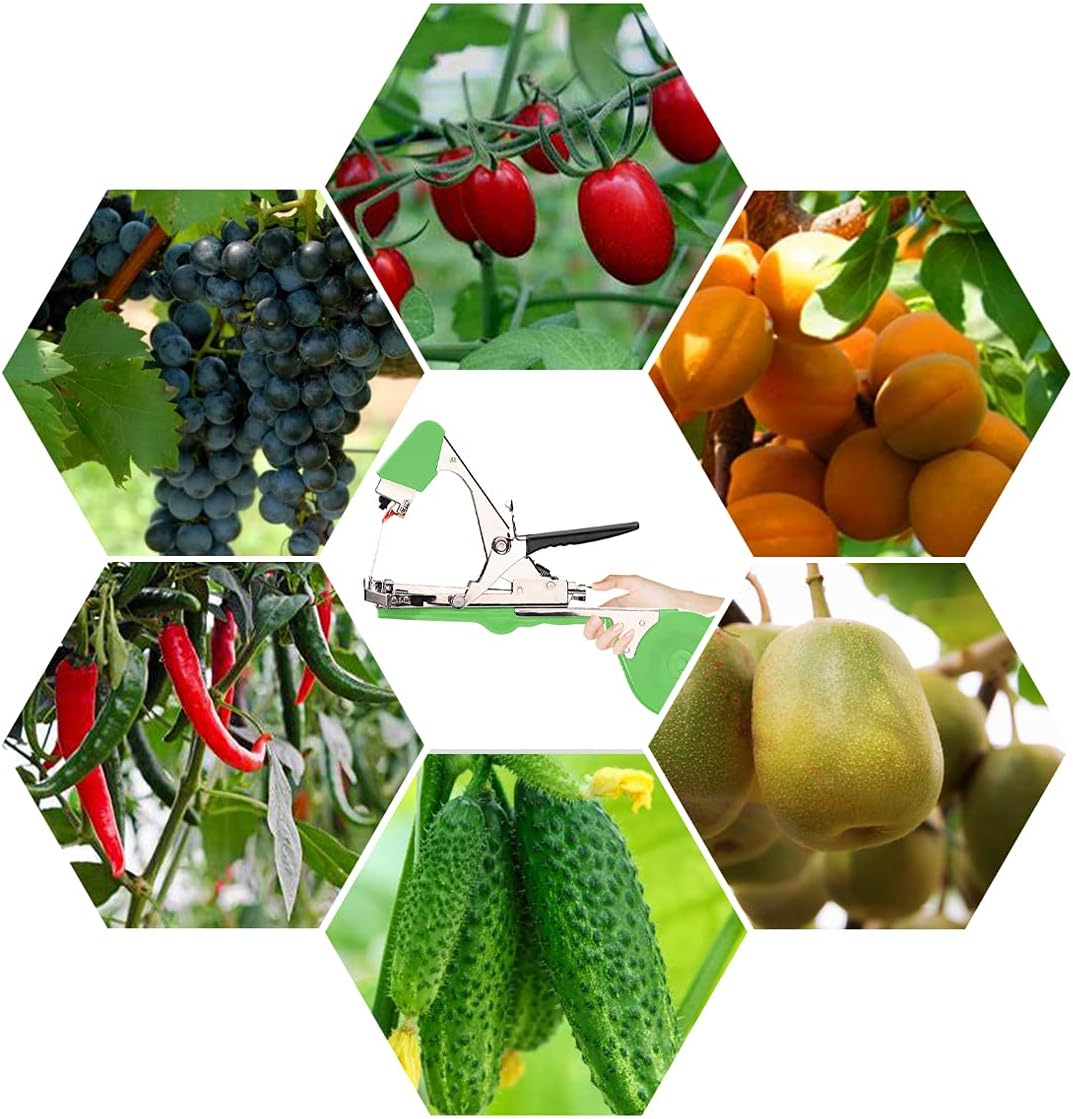 DrRobor Legatrice per Piante da Giardino, Verde - immagine 6