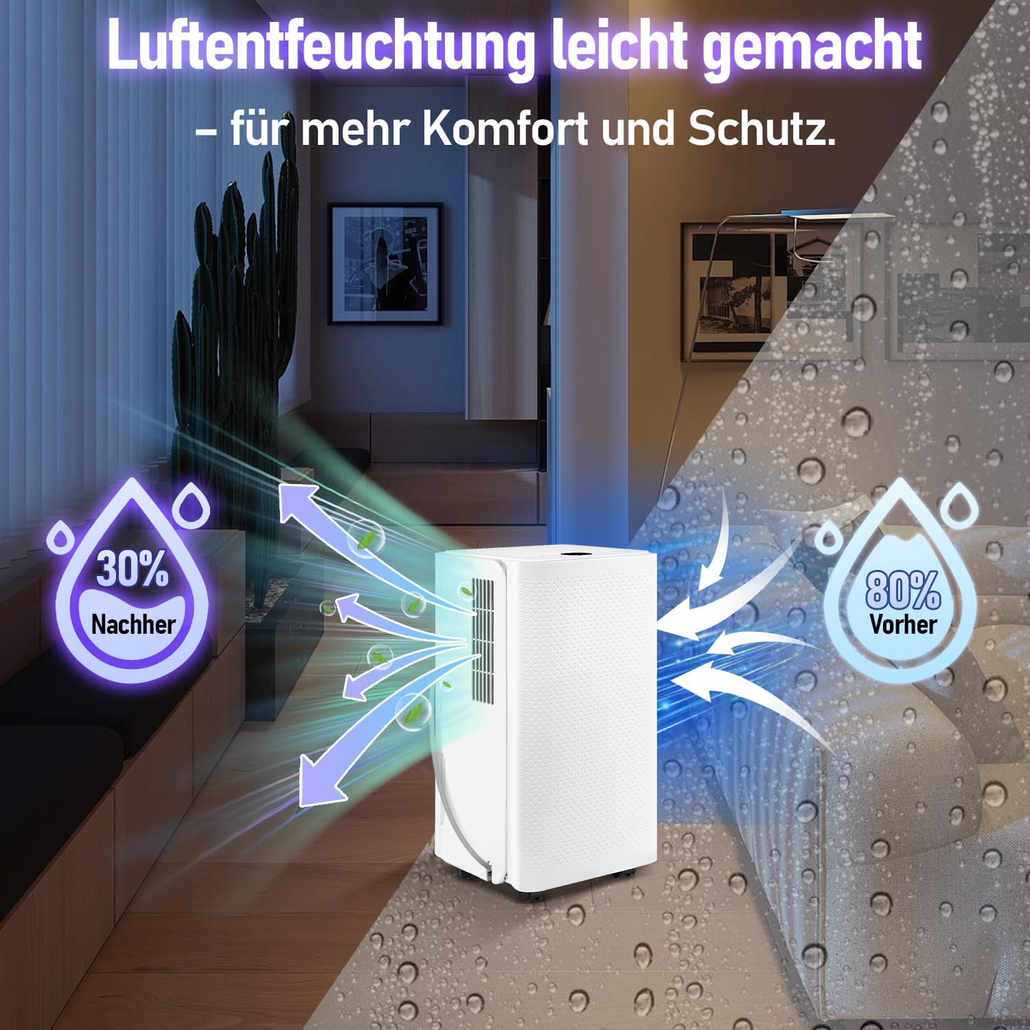 Daromigo Deumidificatore Casa 16L/24h per 25㎡ - immagine 3