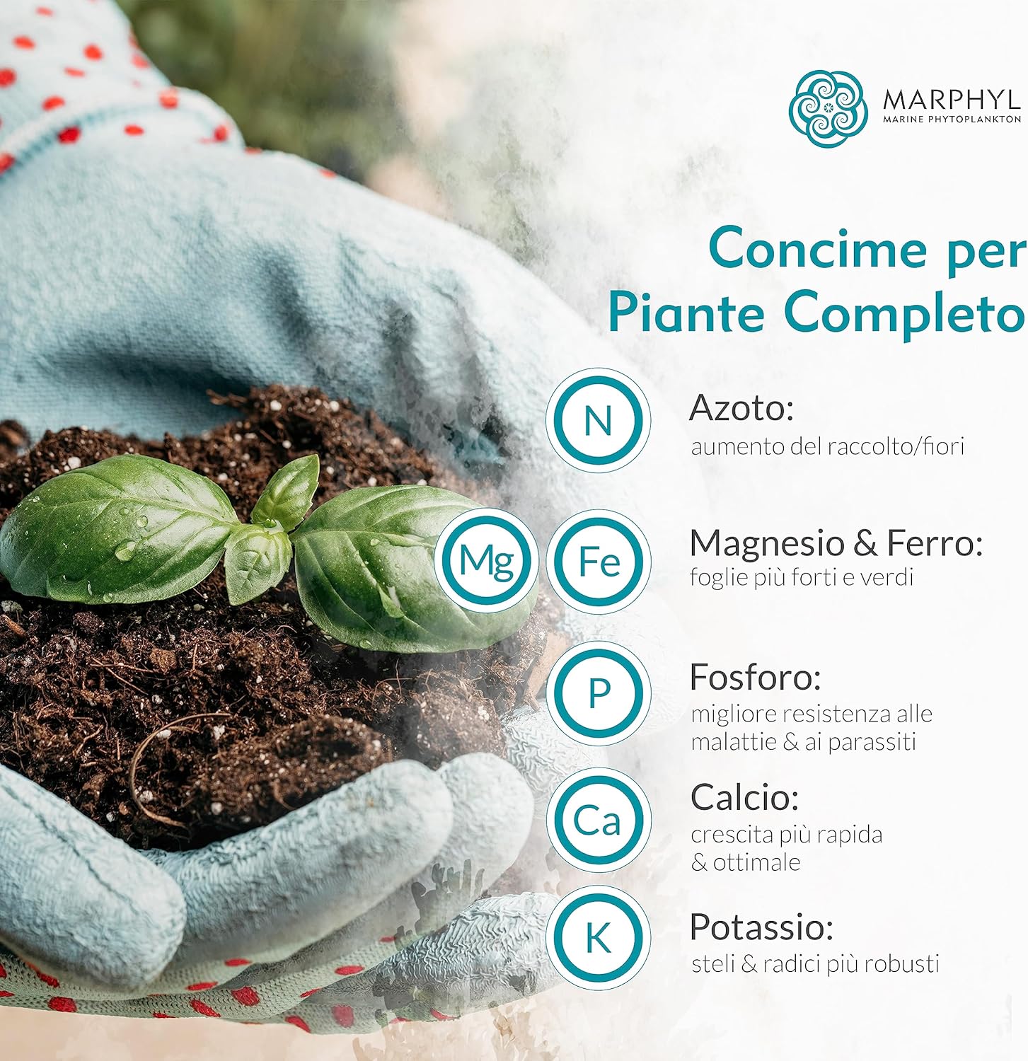 Marphyl Fertilizzante Liquido Organico Universale - immagine 3