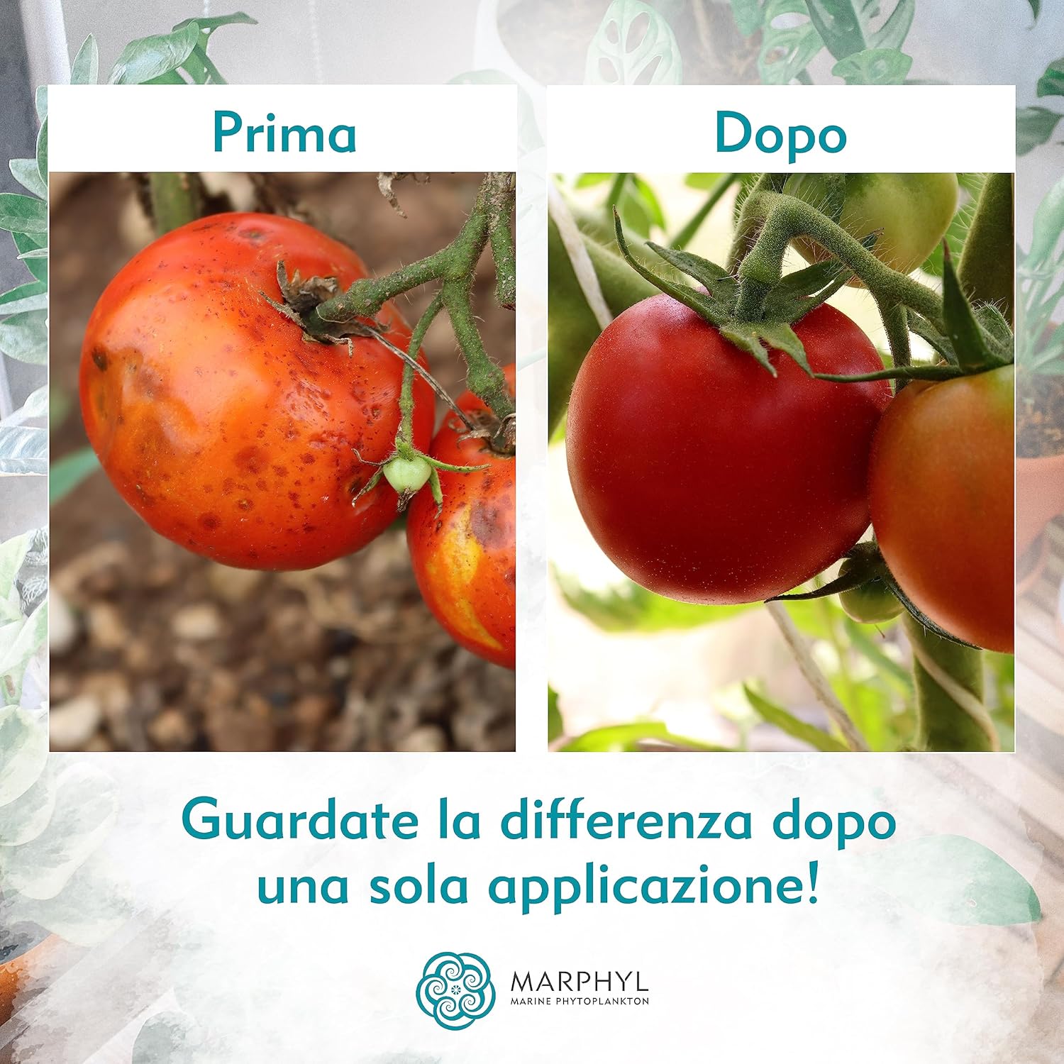 Marphyl Fertilizzante Liquido Organico Universale - immagine 5