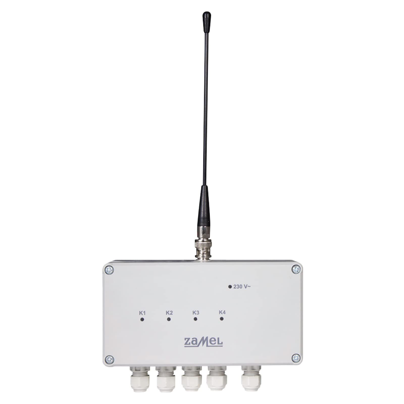 Extra free RWS 311 °C 4 canali wireless/Power Switch