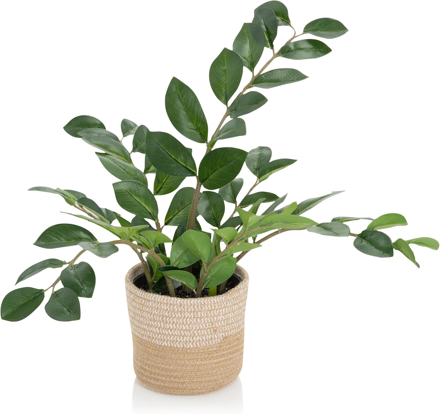 Hjh Office Pianta Artificiale ZAMIE Altezza 50 cm - immagine 8