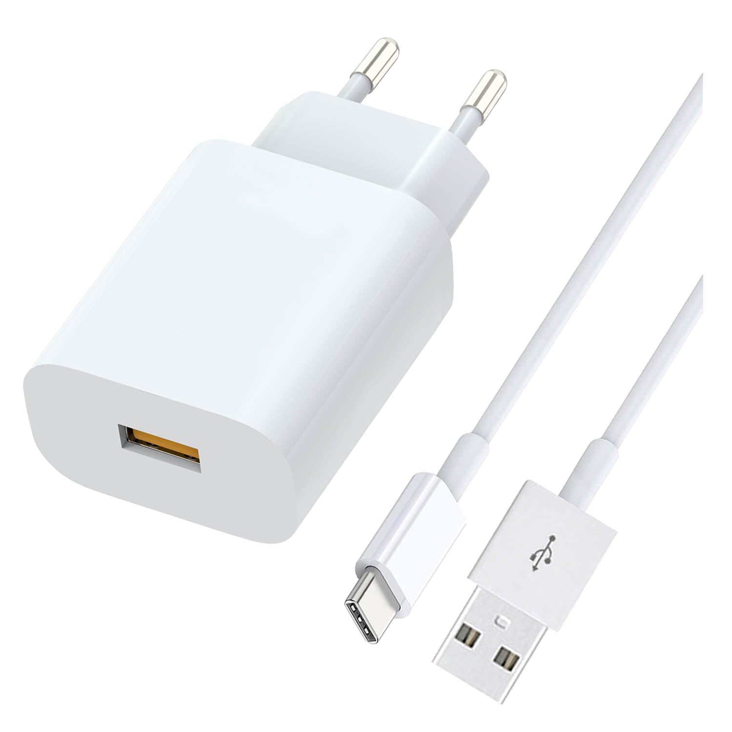 Caricatore Rapido e Cavo USB-C 1,5m
