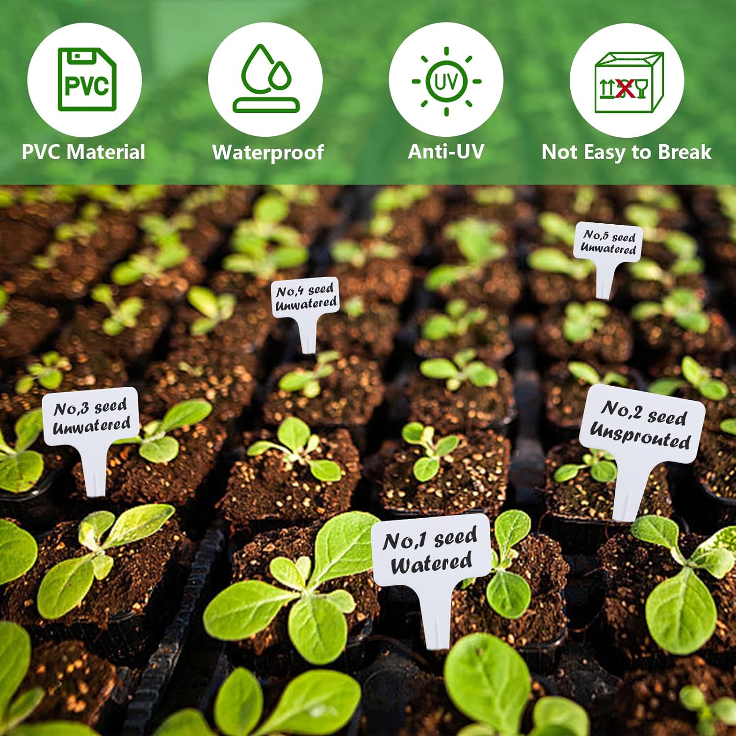 Set 100 Etichette per Piante con Pennarello - immagine 3