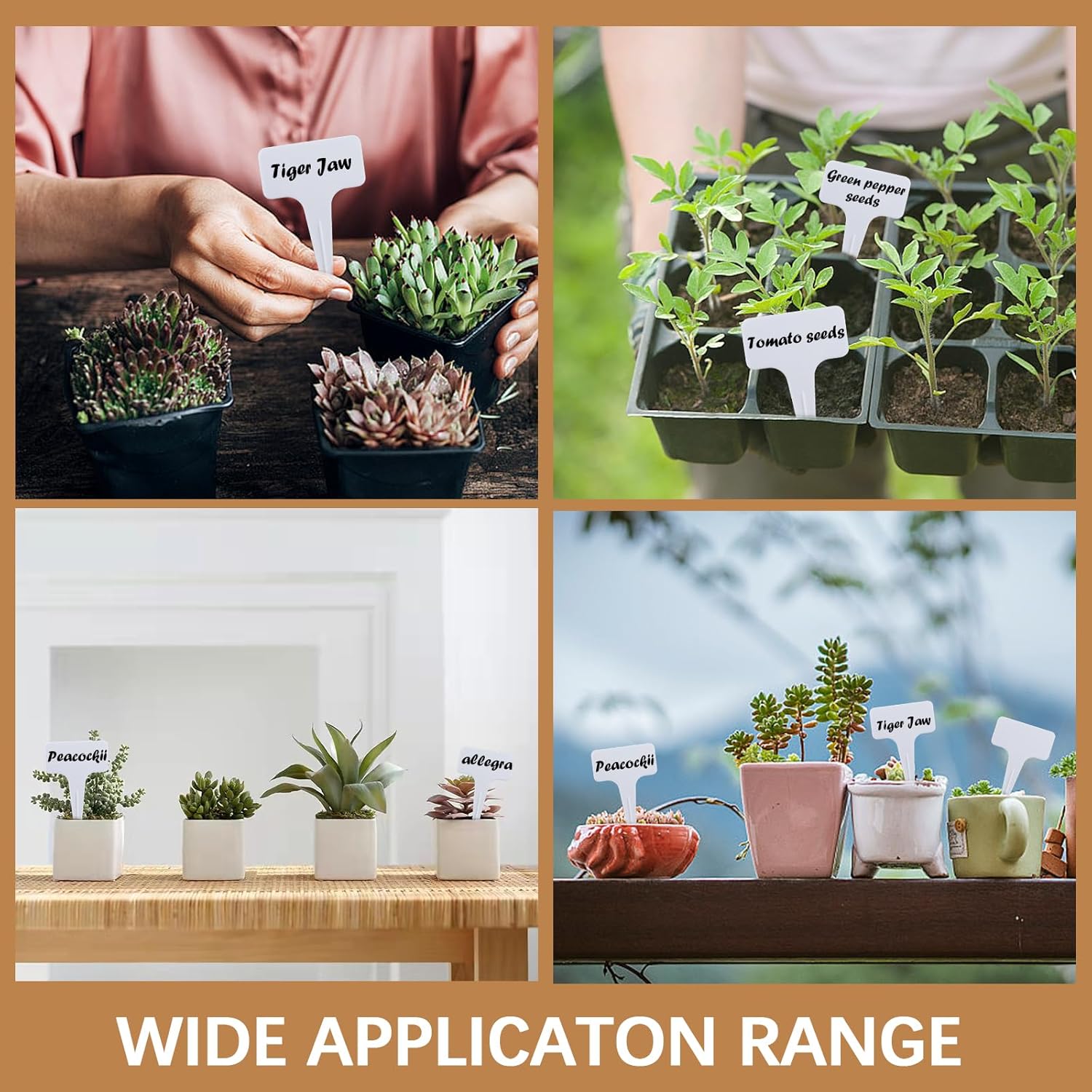 Set 100 Etichette per Piante con Pennarello - immagine 6