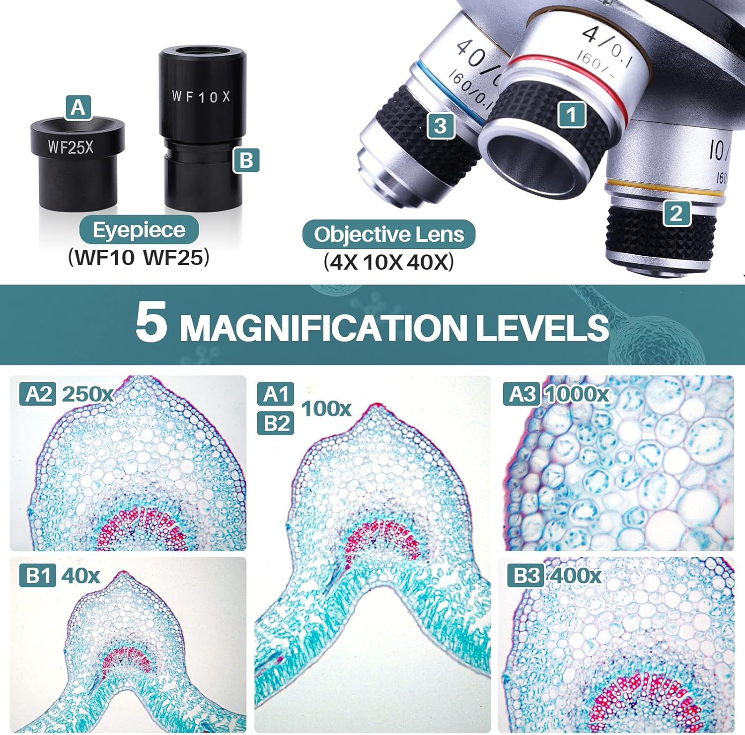 Maxlapter Microscopio Binoculare Composto 40X-1000X - immagine 3