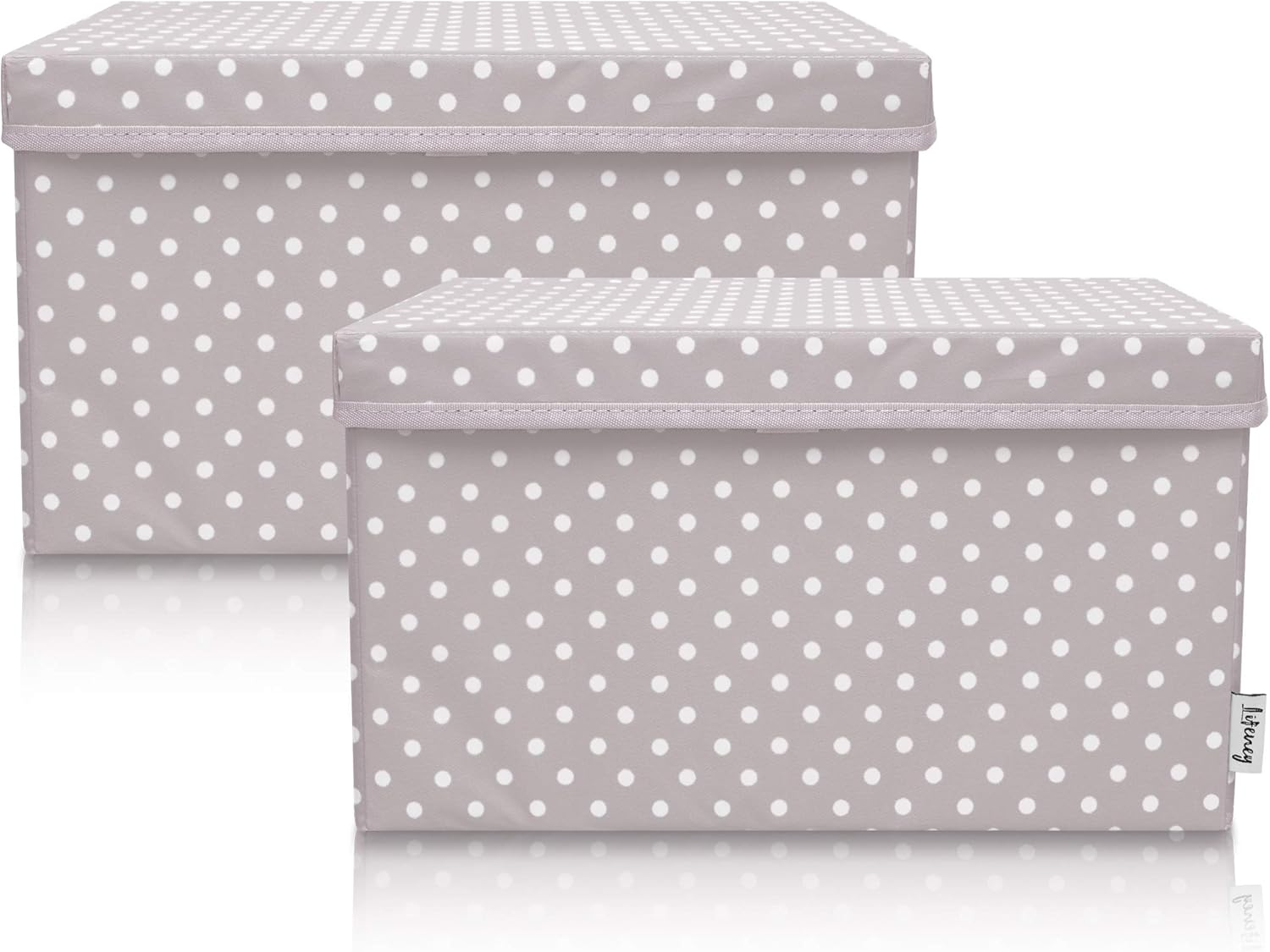 Lifeney Set 2 Contenitori per Bambini 37x25x21cm