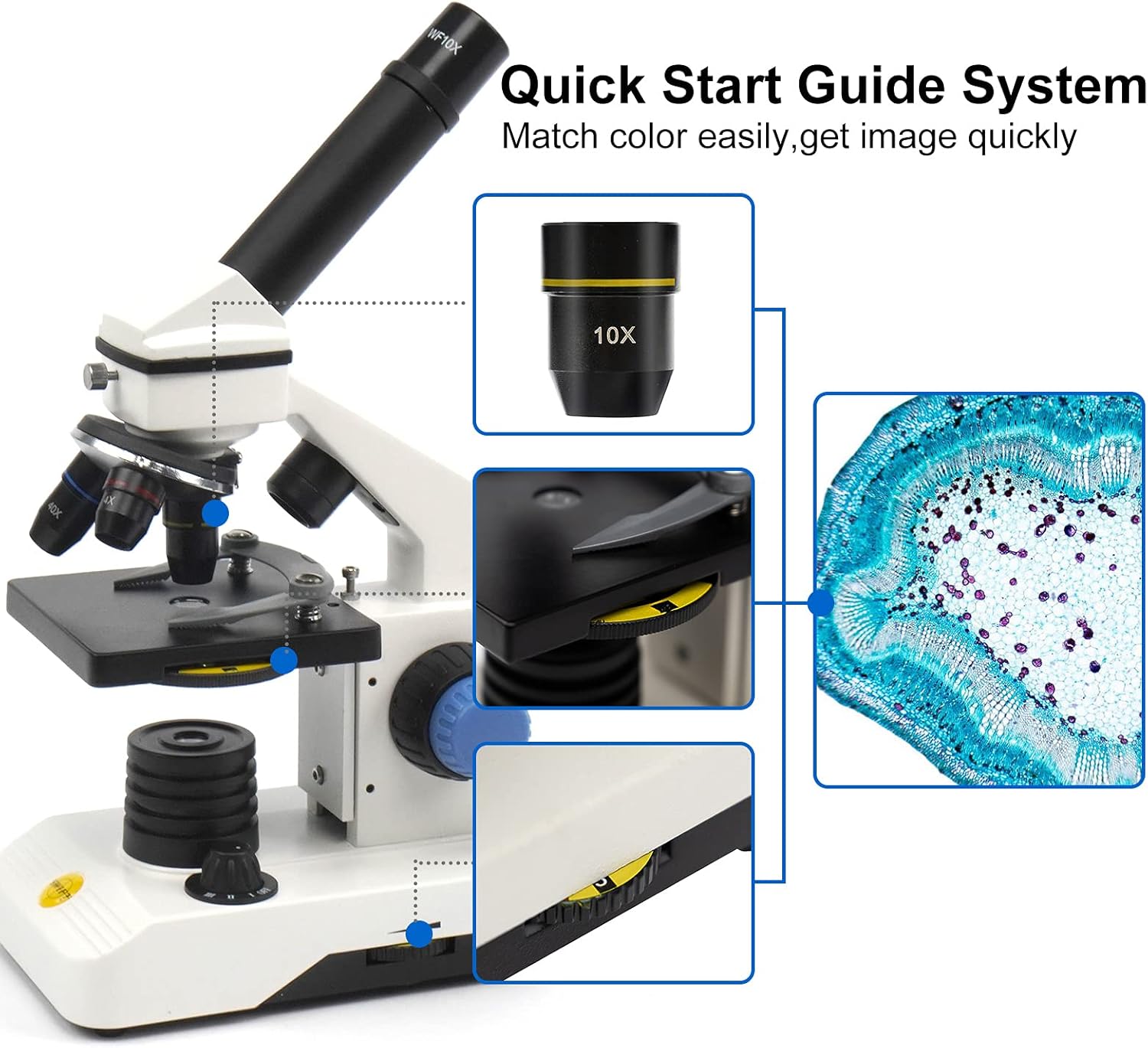 Swift Microscopio SS121 100X-2000X - immagine 3