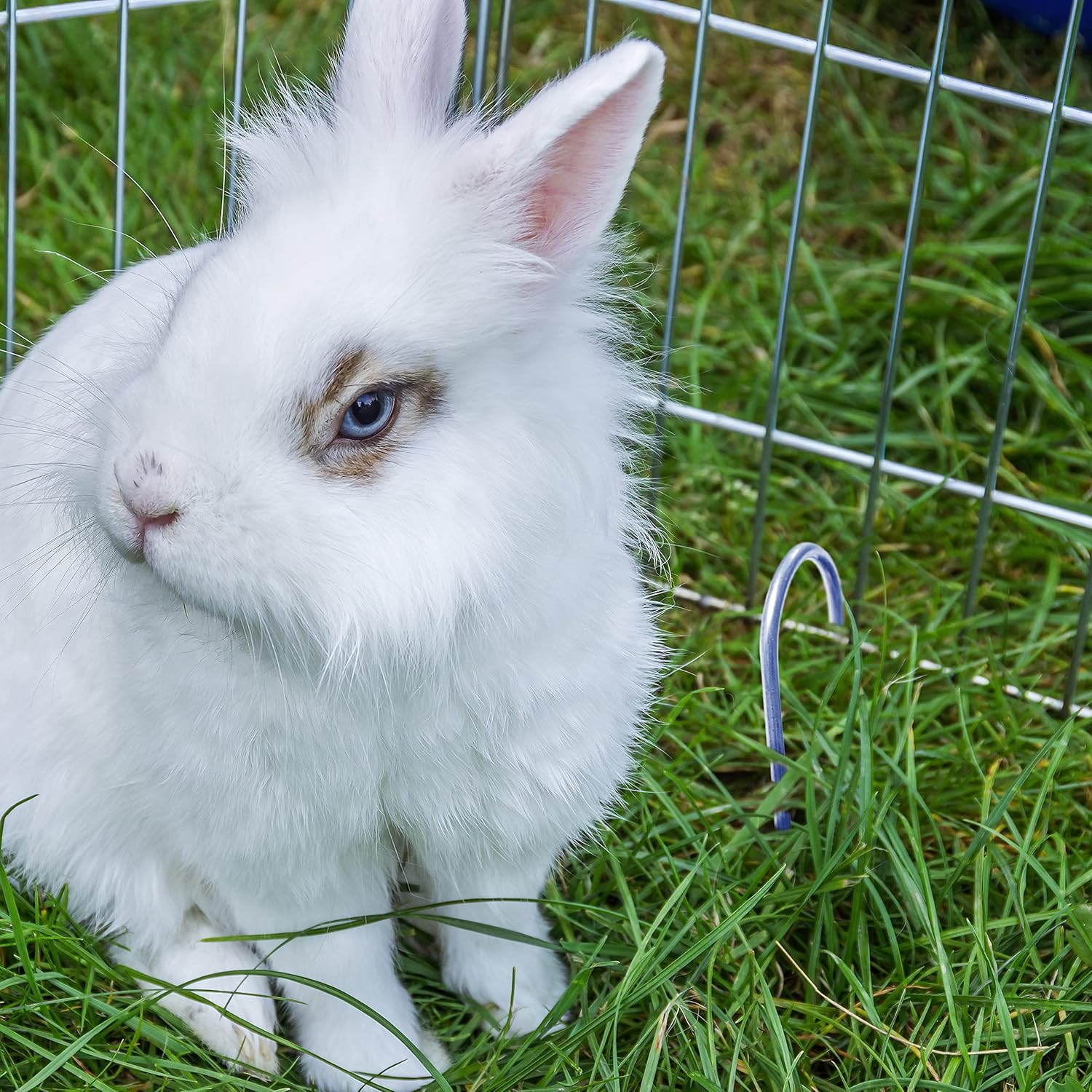 Gardenmate 400x Picchetti Fissaggio Terra 200mm - immagine 6