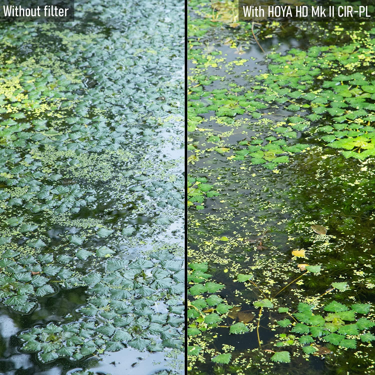 HOYA Circular Polarizing filter HD MkII ø62 mm - immagine 6