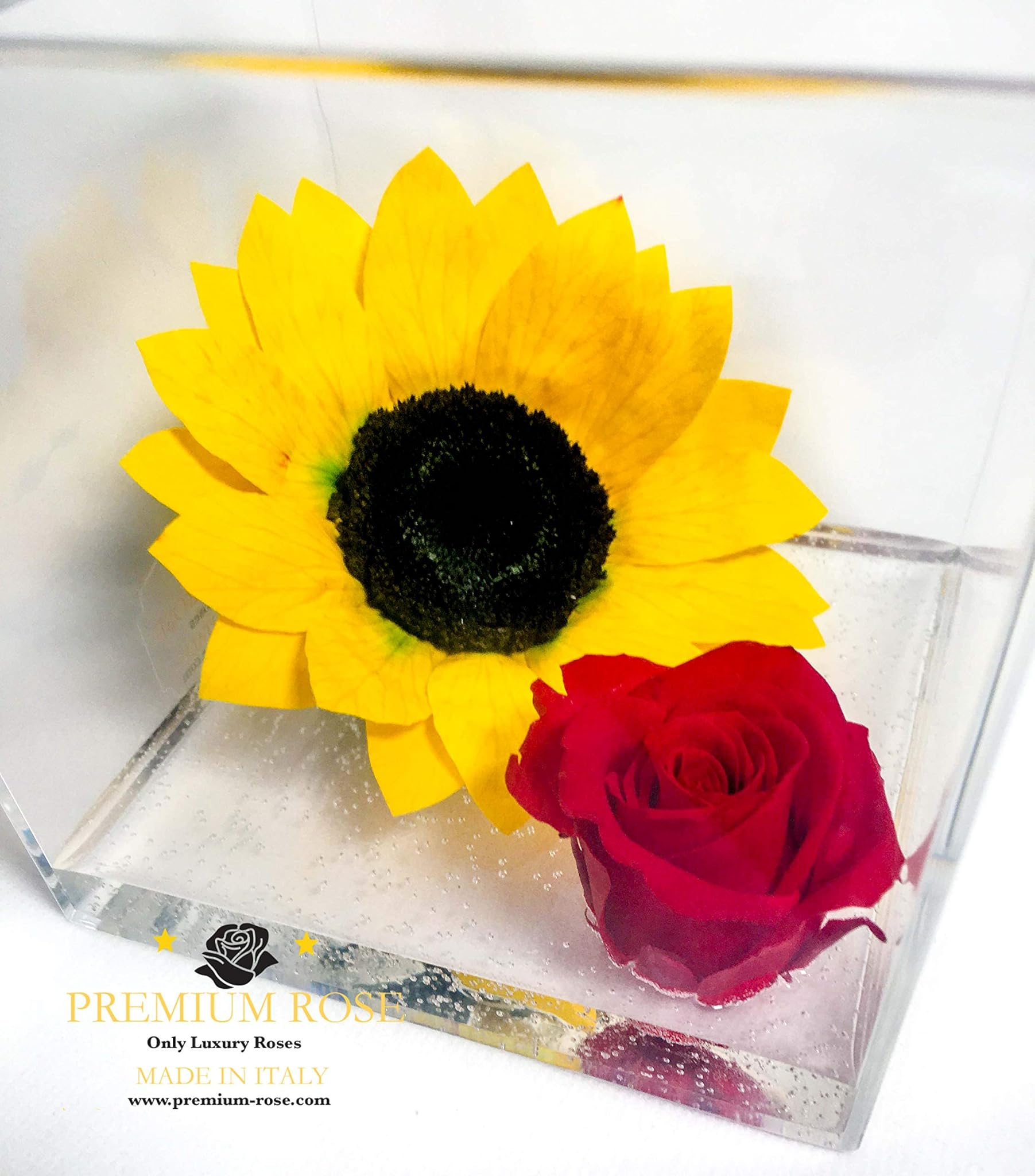 PREMIUMROSE Cubo Rosa Stabilizzata Rossa con Girasole 12cm