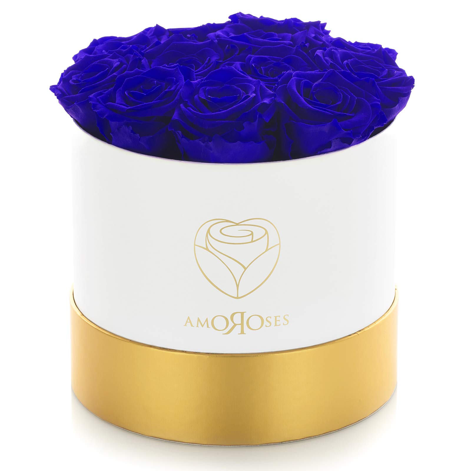 Amoroses LIMITED EDITION - 12 Rose Stabilizzate Eterne