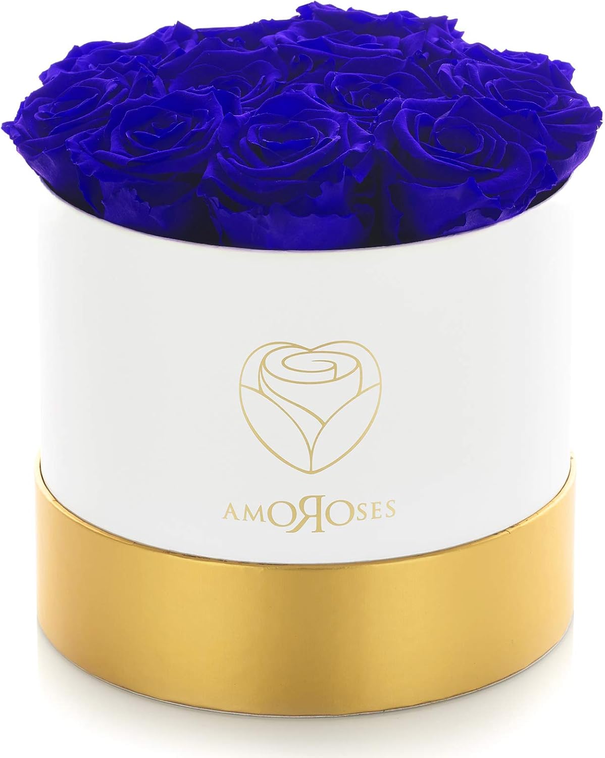 Amoroses LIMITED EDITION - 12 Rose Stabilizzate Eterne - immagine 1