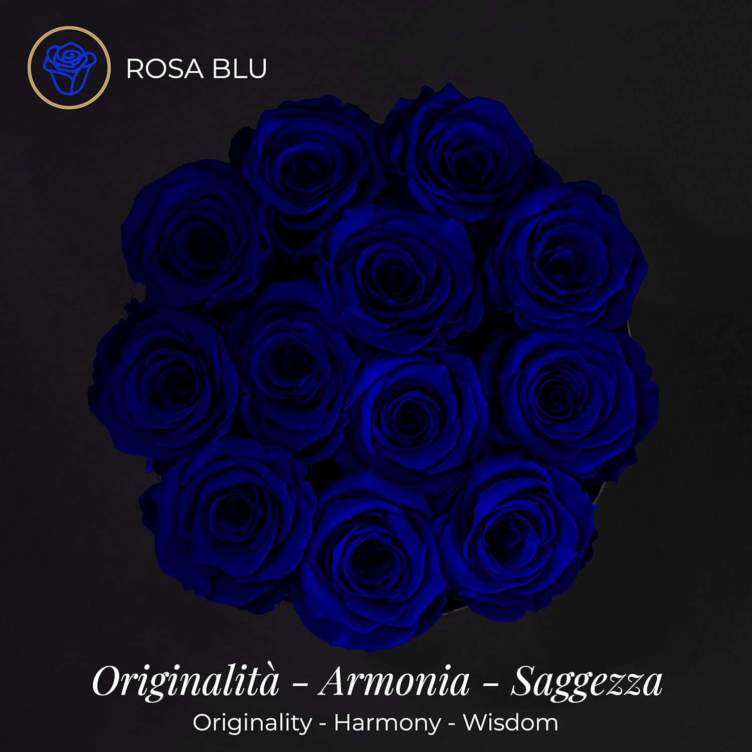 Amoroses LIMITED EDITION - 12 Rose Stabilizzate Eterne - immagine 3