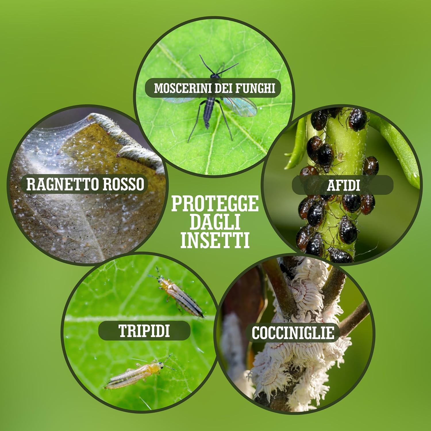 Lerava® Olio di Neem Spray Pronto all’Uso 700ml - immagine 4