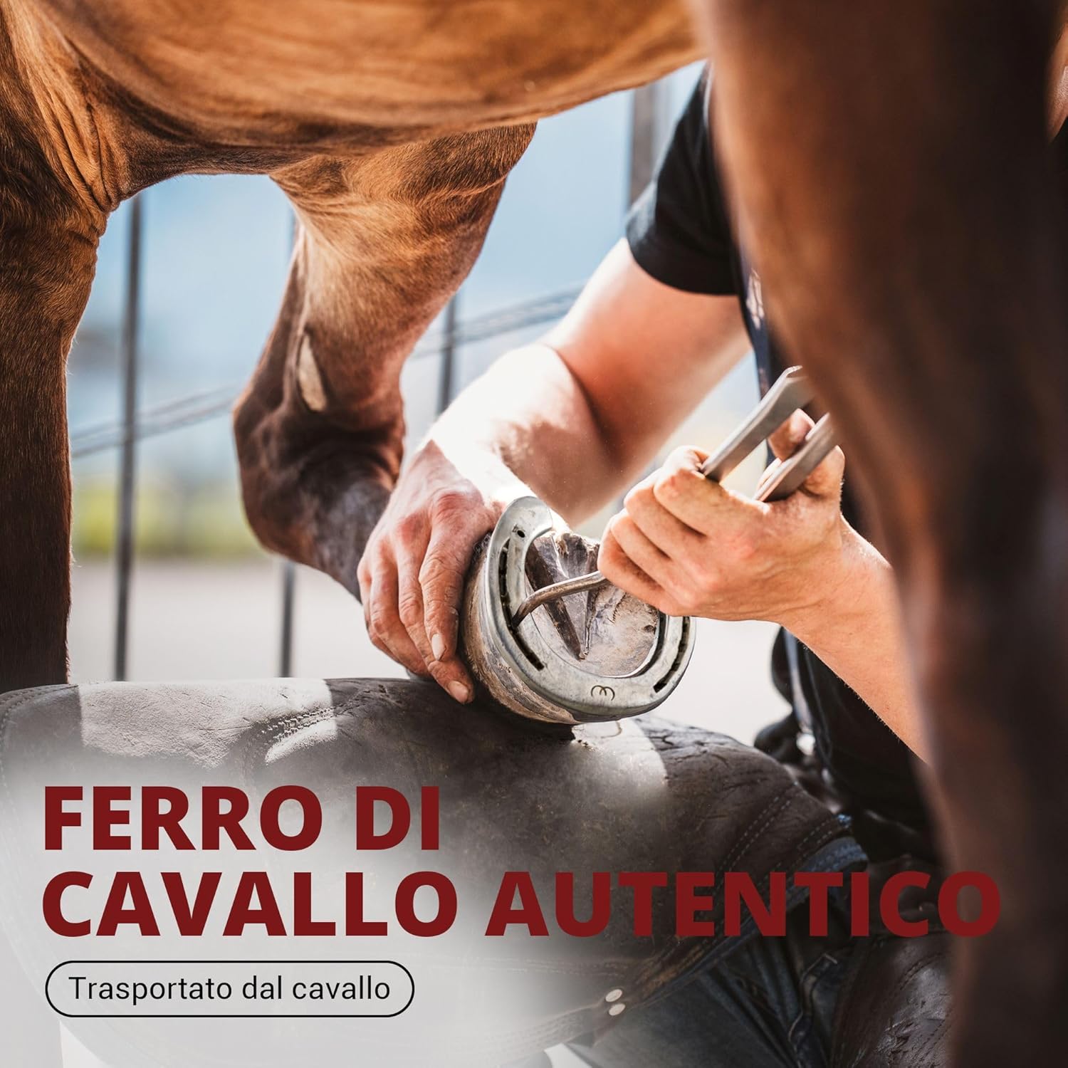 PURAJA Regalo Ferro di Cavallo Autentico - immagine 3