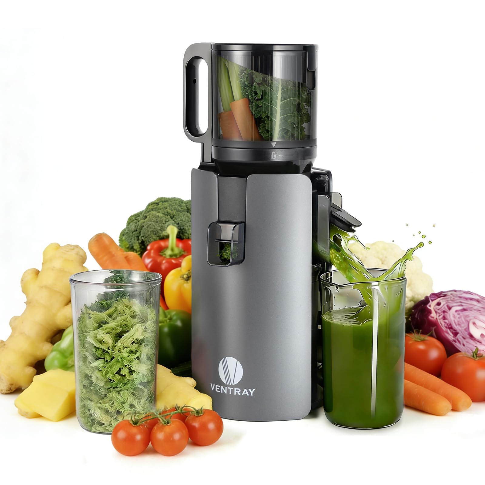 Ventray Estrattore di Succo a Freddo 250W, Nero