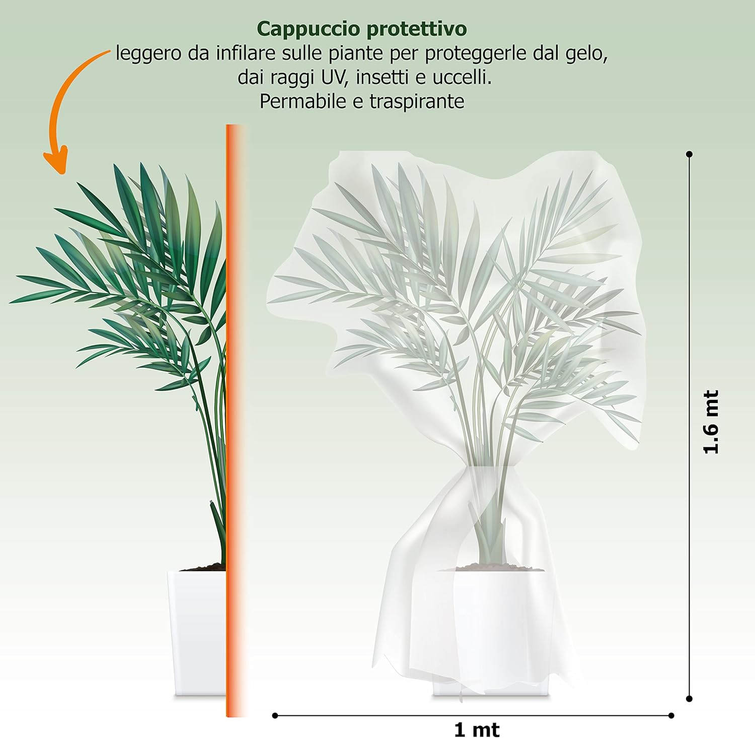 GebEarth® Tessuto Non Tessuto per Piante Antigelo - immagine 2