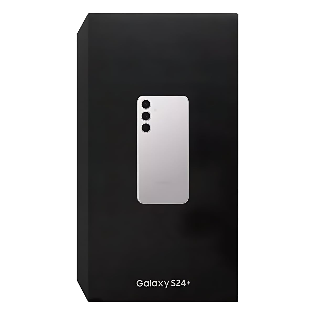 Samsung Galaxy S24 + 12/256 Argent