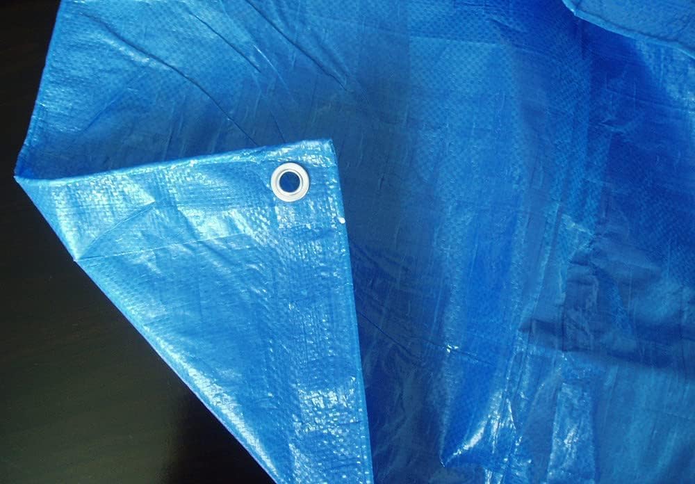 Eacommerce Telo Telone Occhiellato Polietilene Blu 2x3m - immagine 2