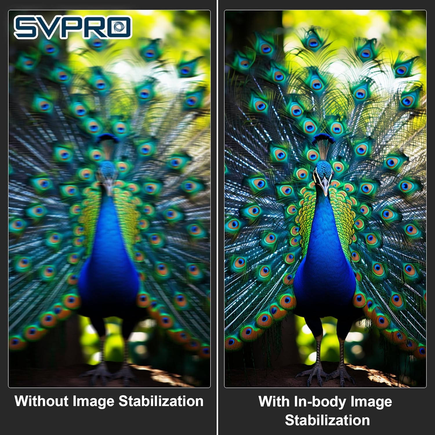 Svpro Modulo Fotocamera 4K USB Autofocus IBIS - immagine 3