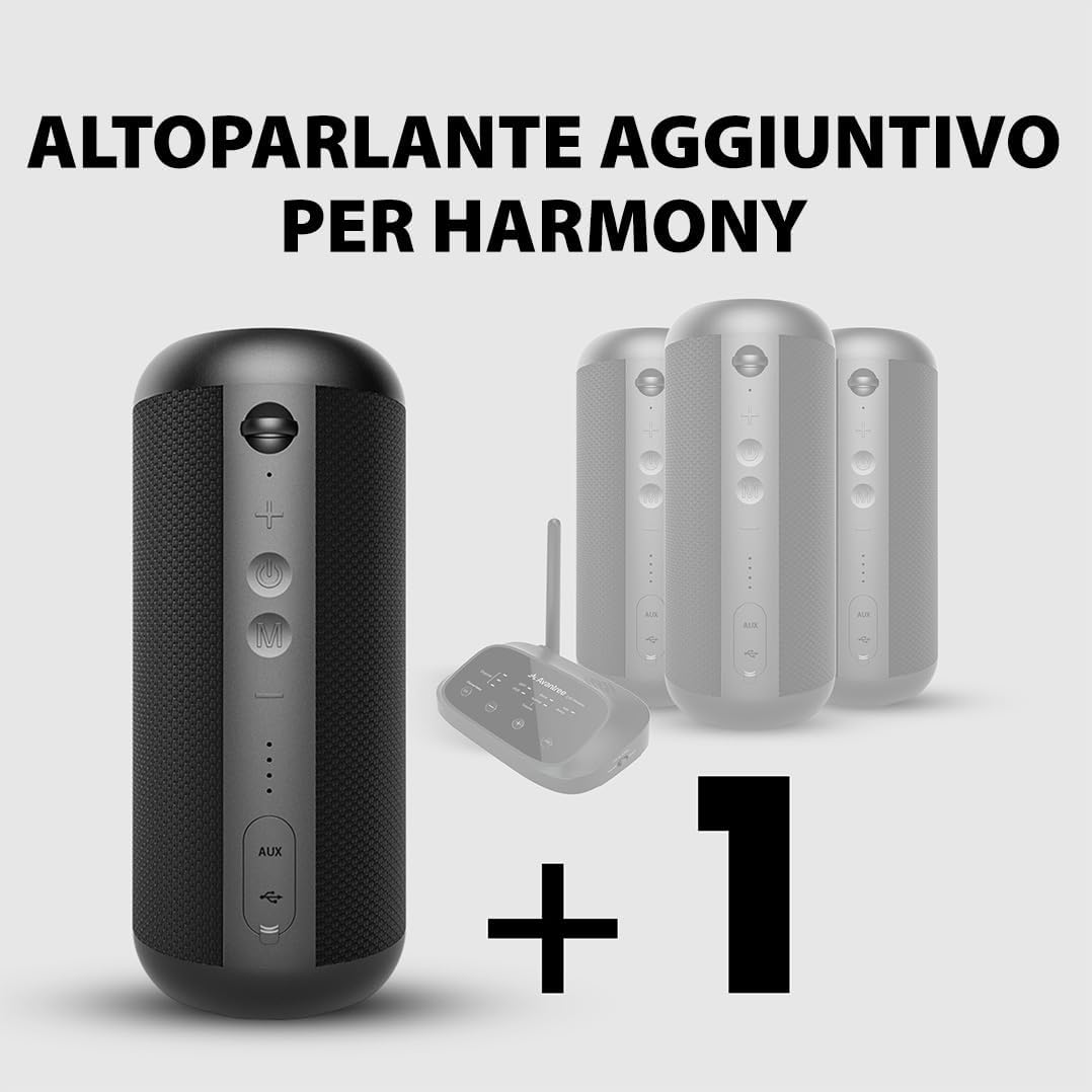Avantree Bluetooth e Altoparlante Aggiuntivo Multi-room per Harmony Set - immagine 2