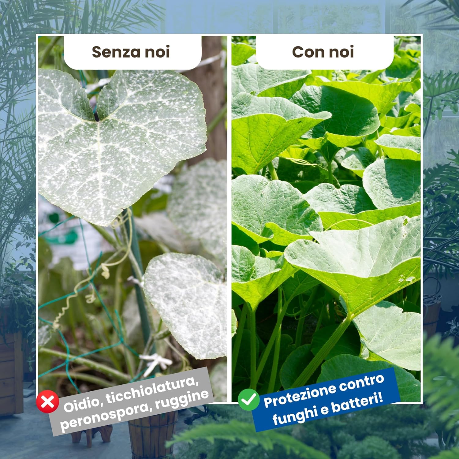 Lerava Rame e Zolfo Spray 700 ml - Fungicida Naturale - immagine 2