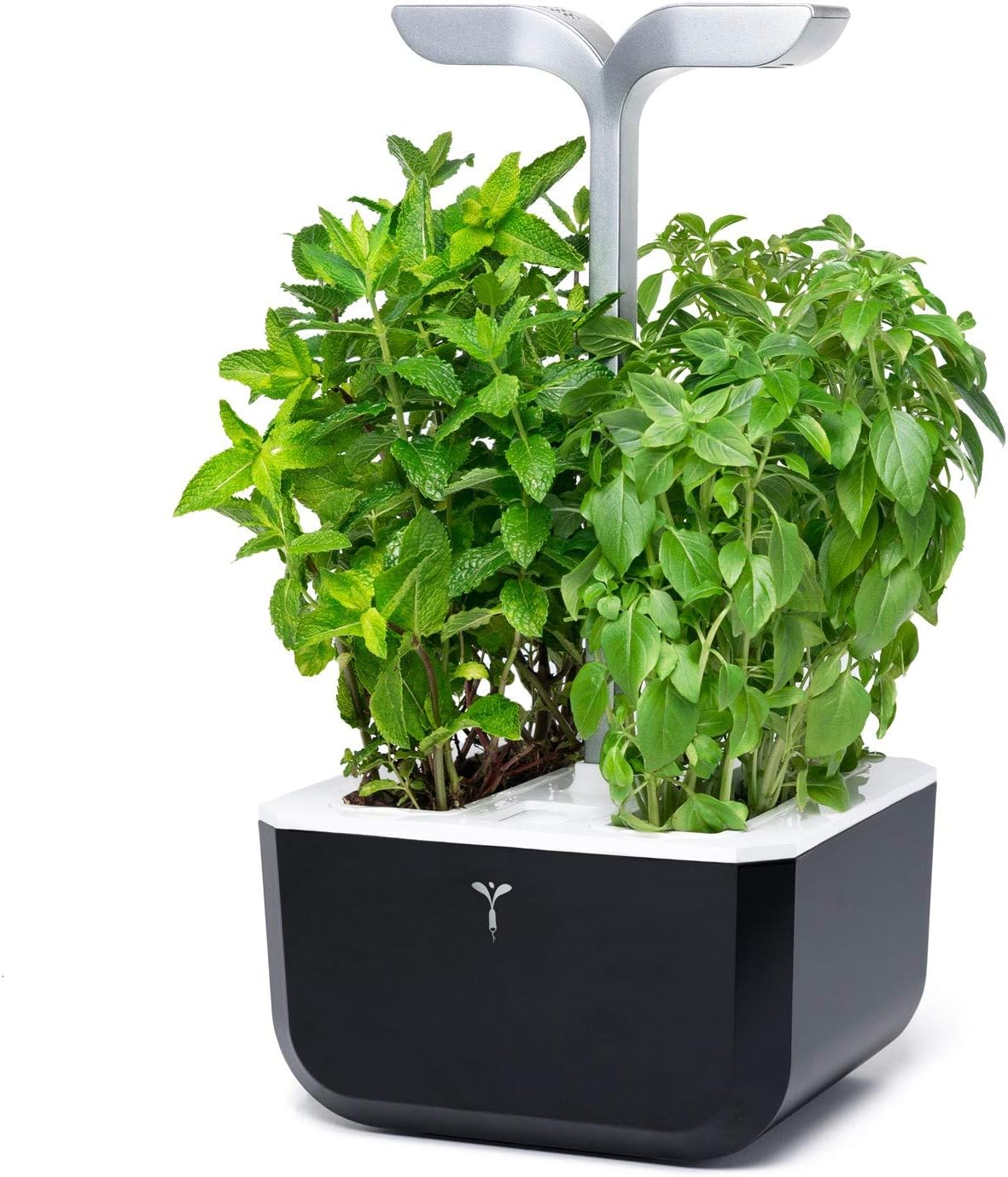 Véritable Orto da Interno Exky® SMART, Soft Black - immagine 2