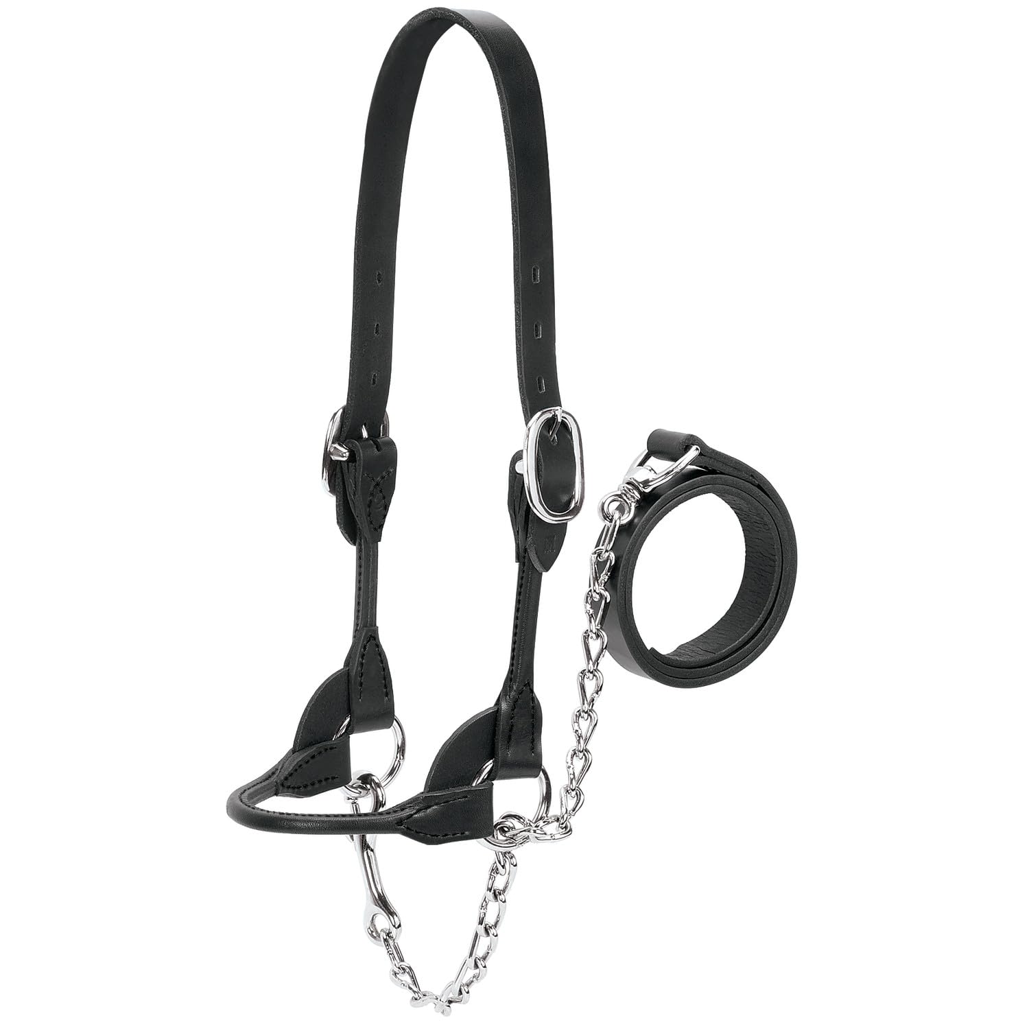 Weaver Leather Dairy/Manzo arrotondati Show Halter