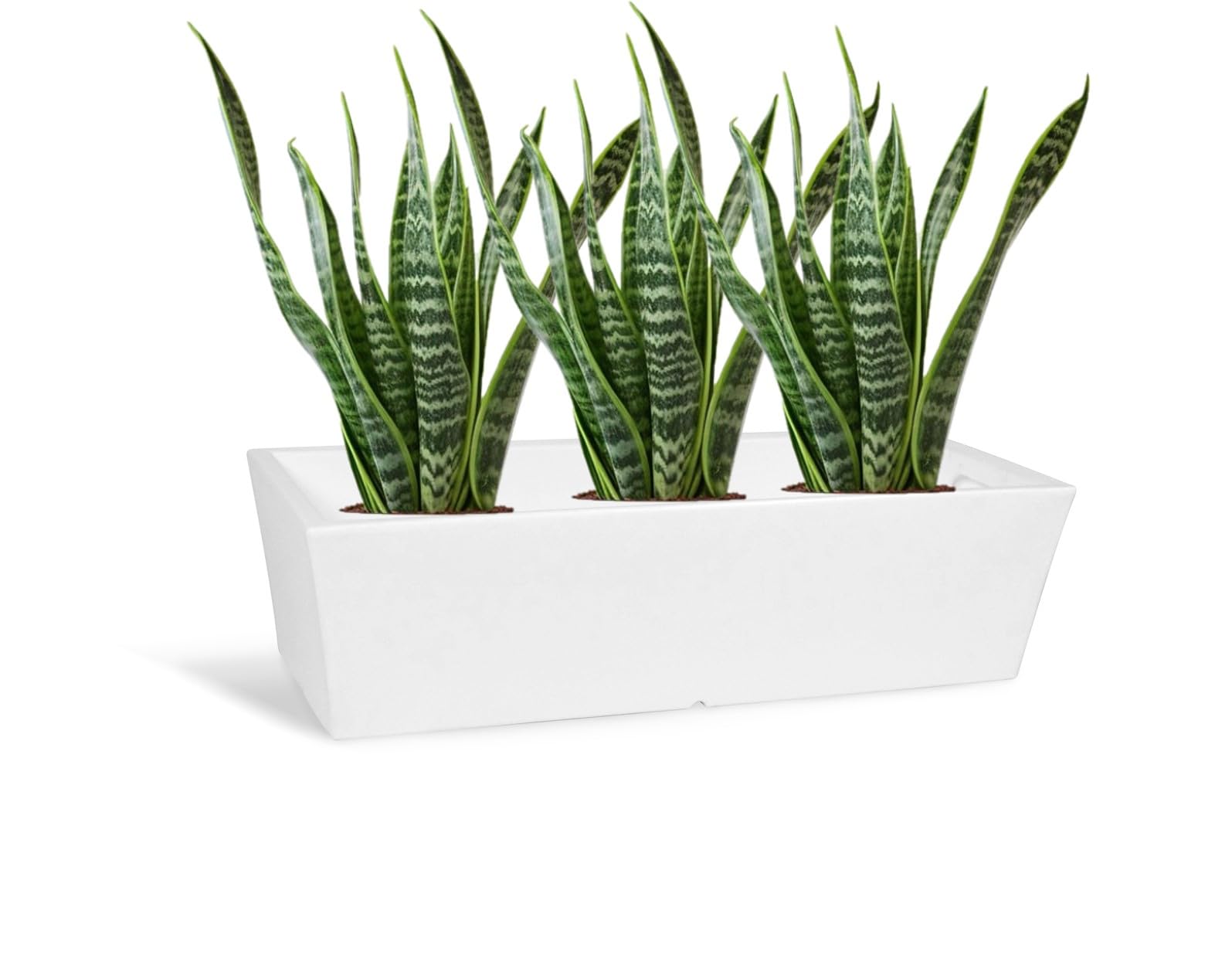 KLORIS Vaso Moderno DECO Rettangolare 69x29x19cm, Bianco