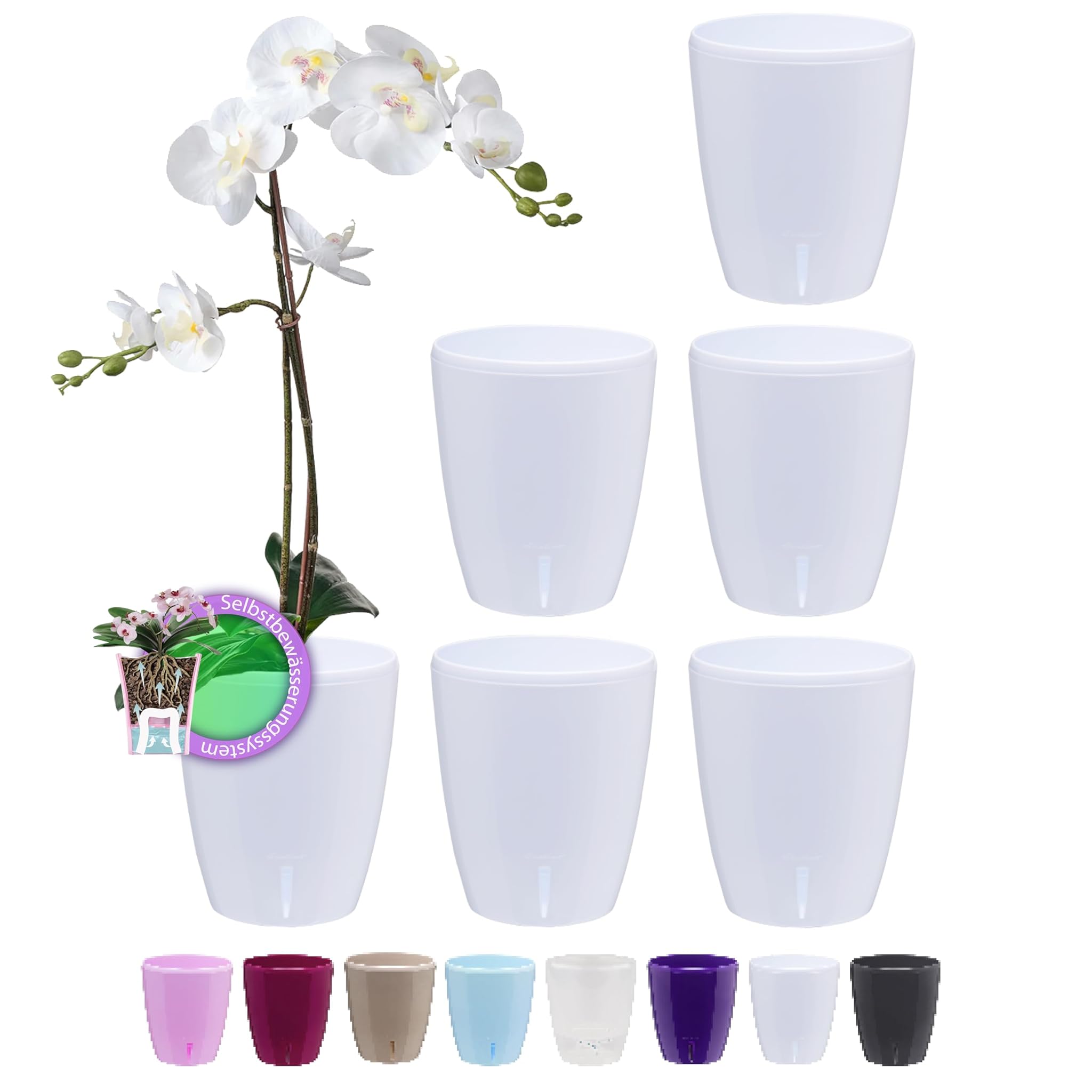 Santino Set 6 Vasi Autoinnaffianti per Orchidee D 15cm