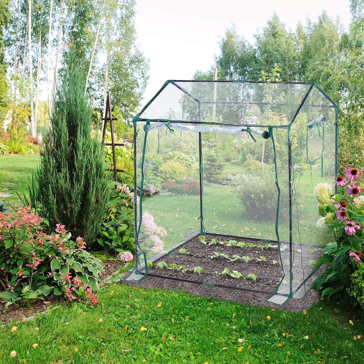 Relaxdays Serra per Orto, Telo PVC, Trasparente - immagine 2