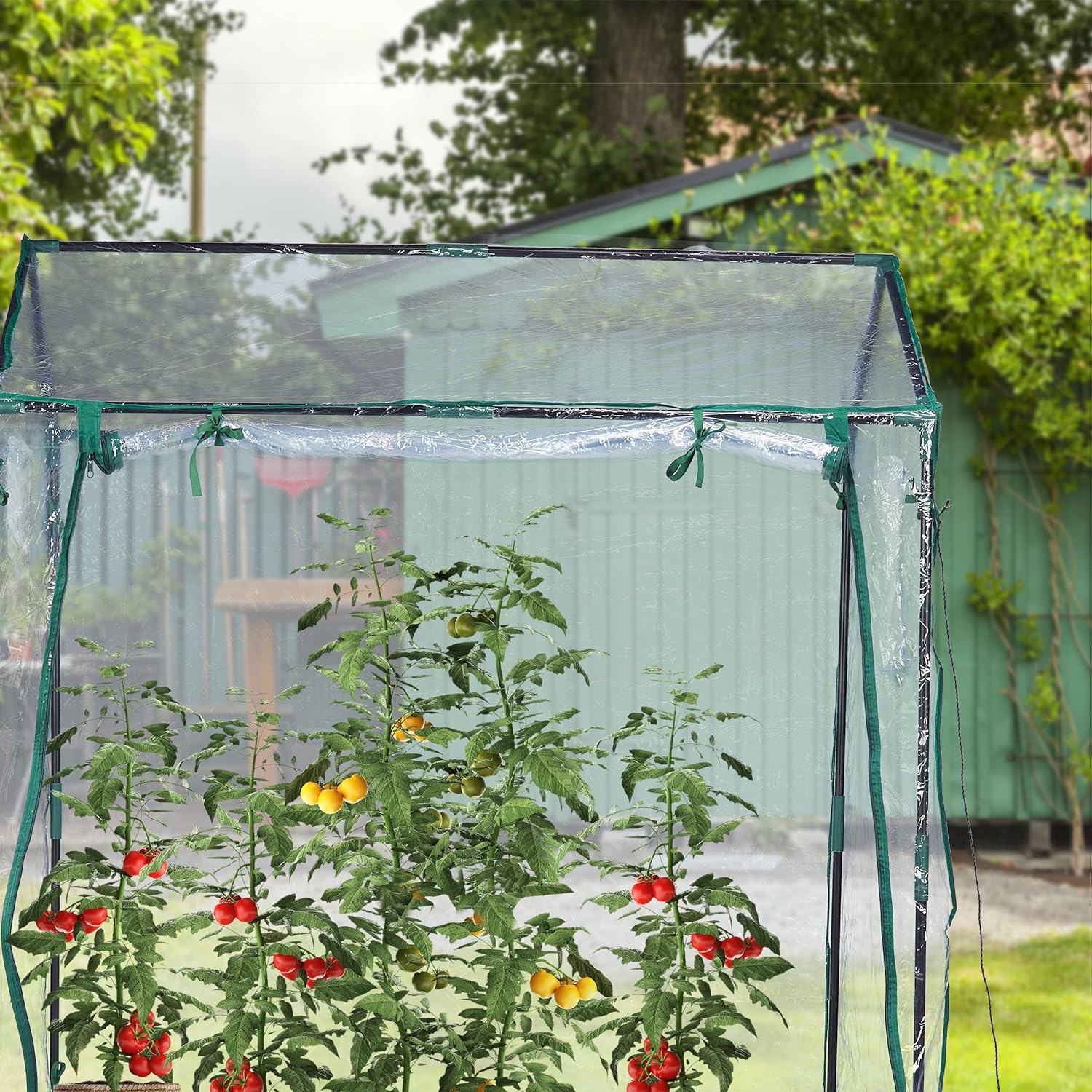 Relaxdays Serra per Orto, Telo PVC, Trasparente - immagine 5