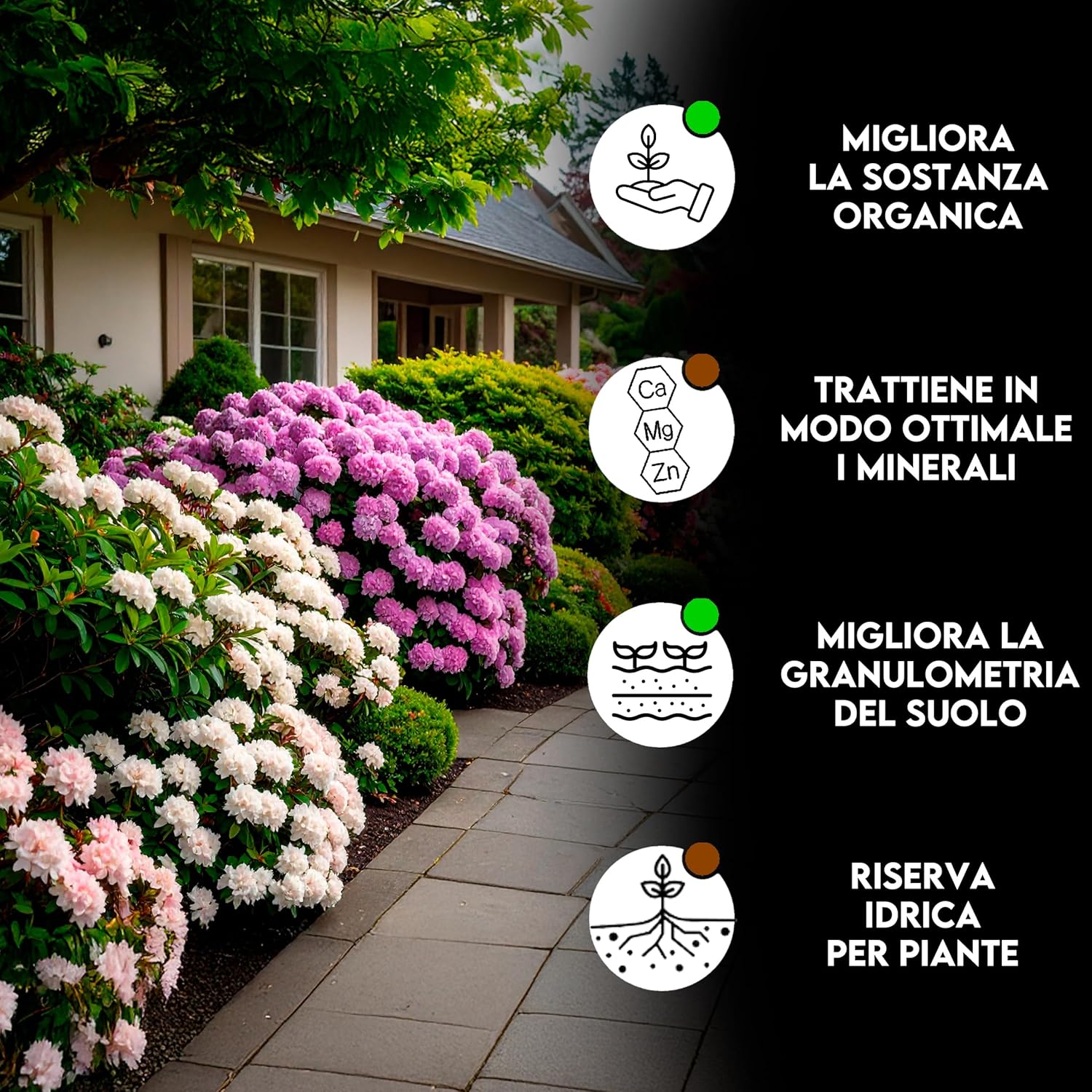 ZOMA Torba Acida di Sfagno pH 3,5 Qualità Superiore 2L - immagine 2