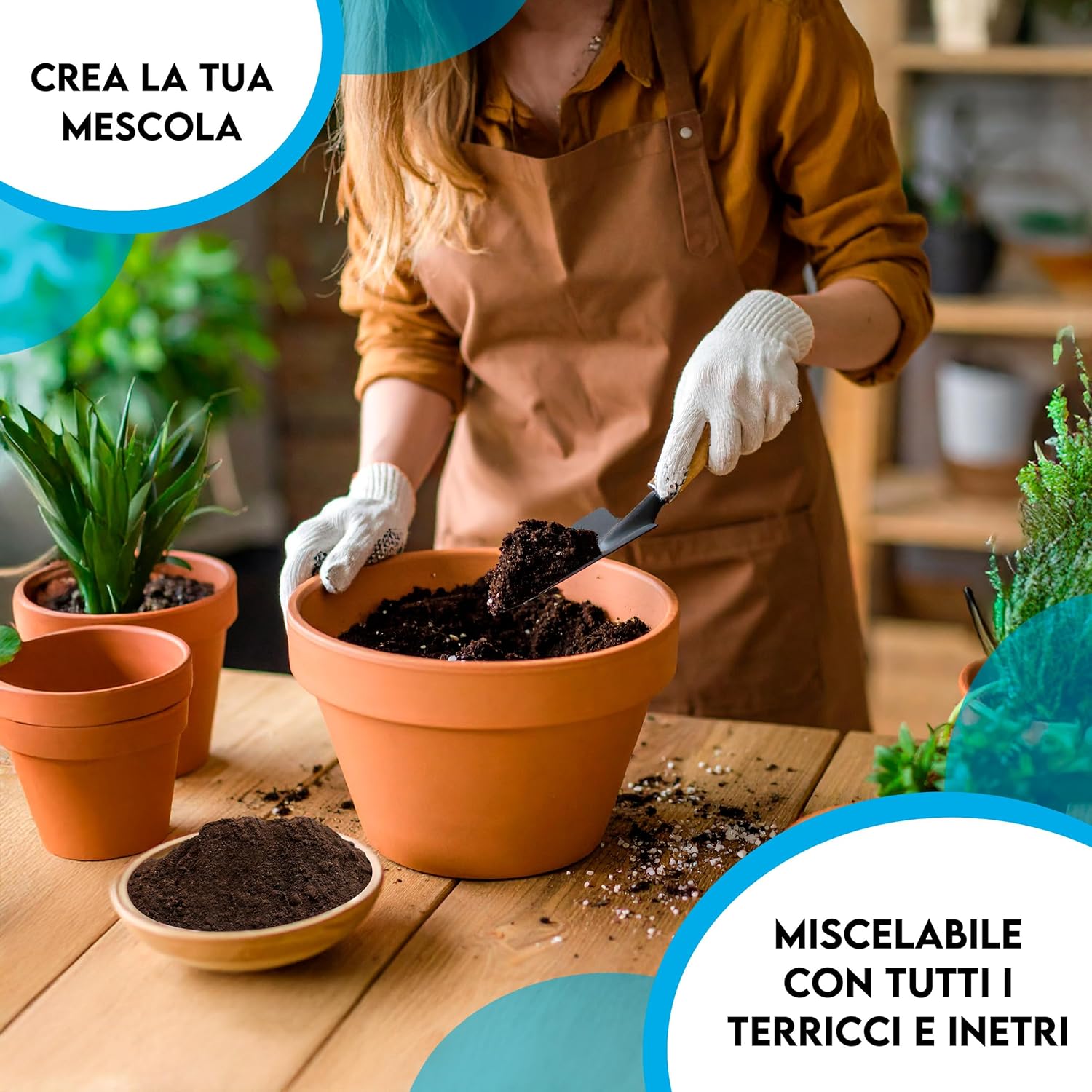 ZOMA Torba Acida di Sfagno pH 3,5 Qualità Superiore 2L - immagine 3