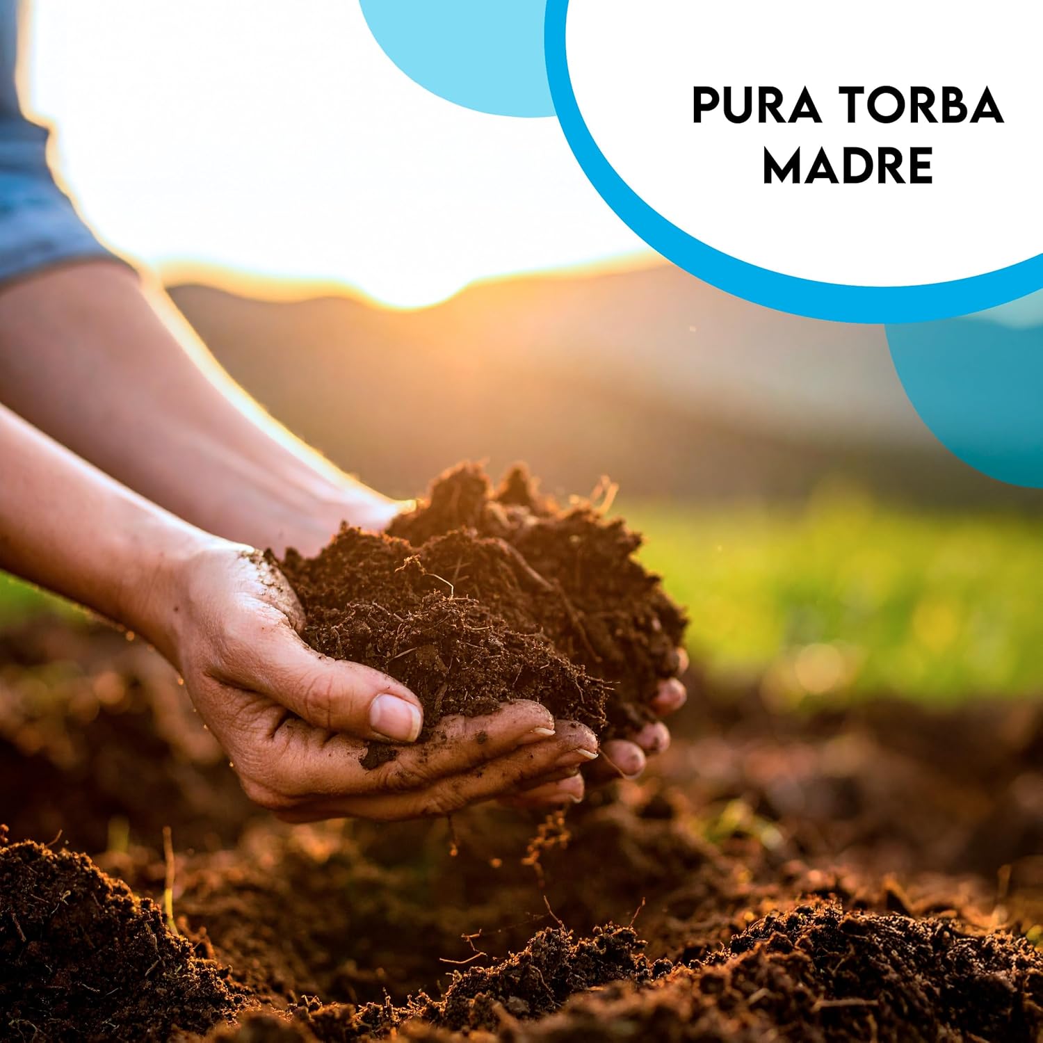 ZOMA Torba Acida di Sfagno pH 3,5 Qualità Superiore 2L - immagine 4