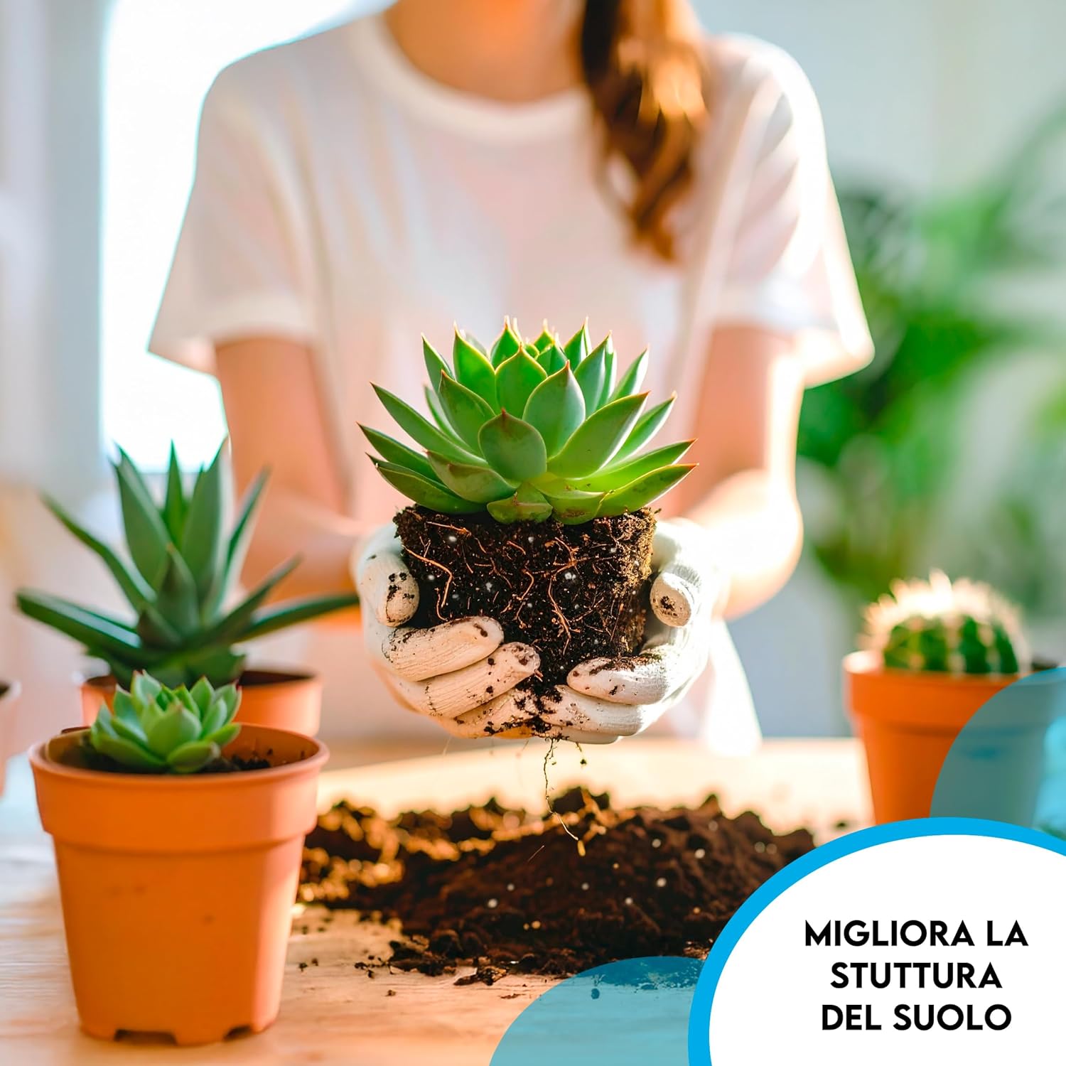 ZOMA Torba Acida di Sfagno pH 3,5 Qualità Superiore 2L - immagine 6